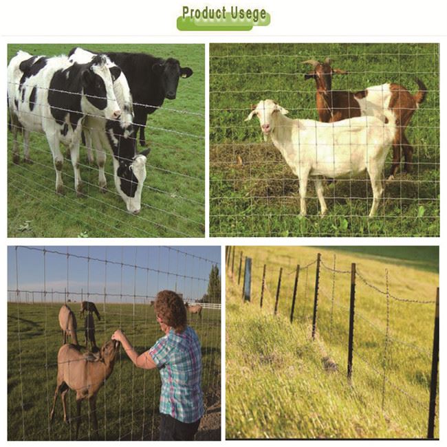 Farm Animal Fence Field Farm Fence Farm Animal Fence Field Farm Fence