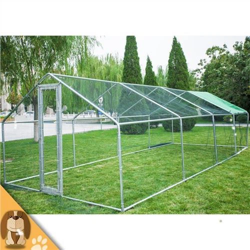 Velike kokoši, patke i guske žive zajedno u kavezu živine