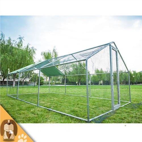 Dobro prozračena Best-selling Chicken Coop